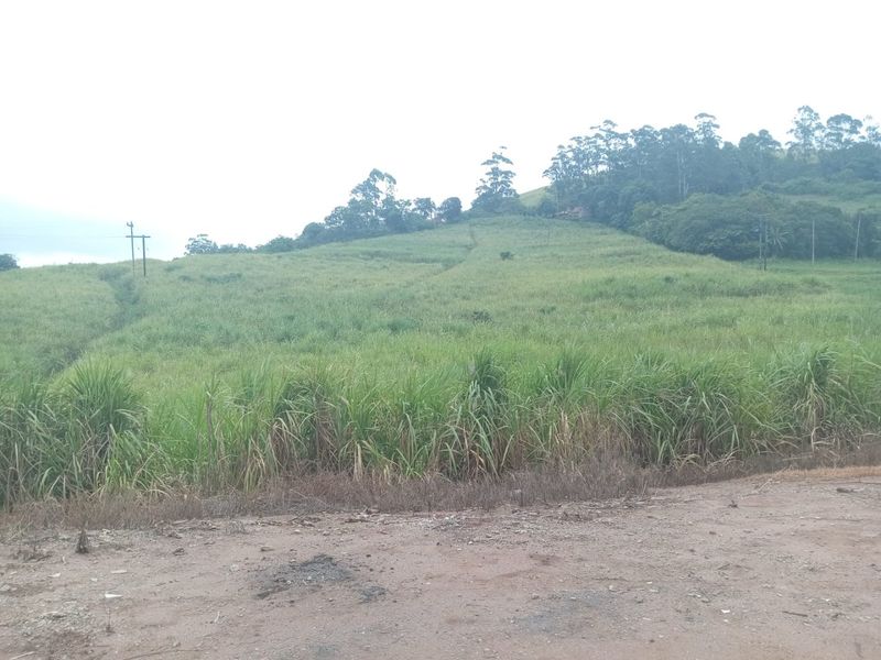 4 Bed Farm in Stanger Central for Sale - Photo 3