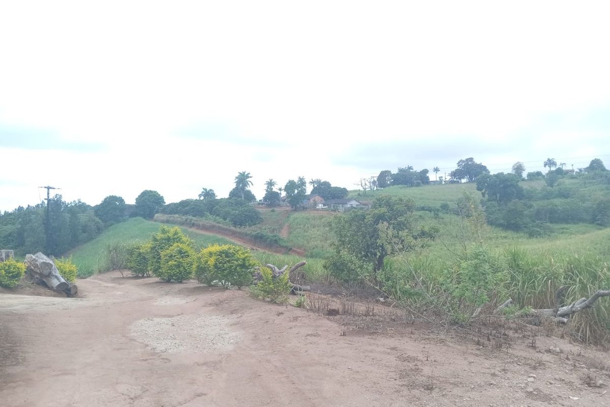 4 Bed Farm in Stanger Central for Sale - Photo 4