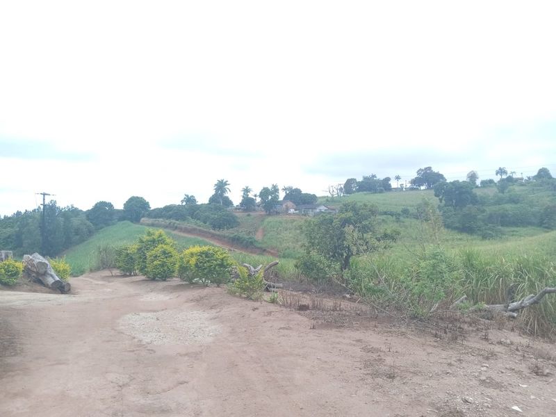 4 Bed Farm in Stanger Central for Sale - Photo 4