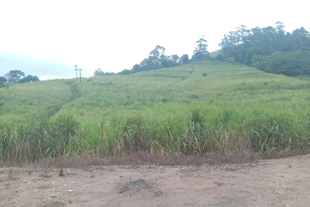 4 Bed Farm in Stanger Central for Sale - Photo 2