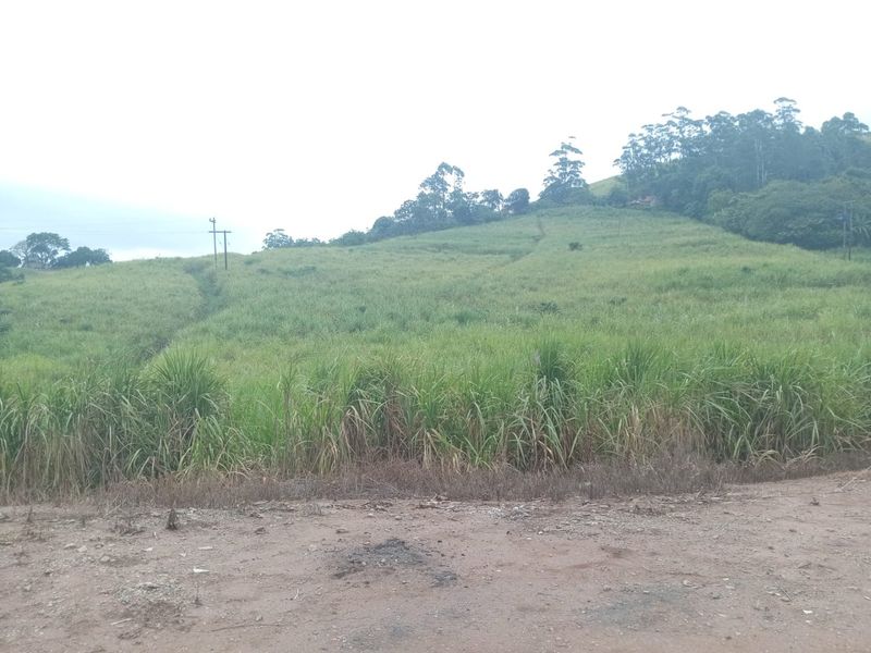 4 Bed Farm in Stanger Central for Sale - Photo 2