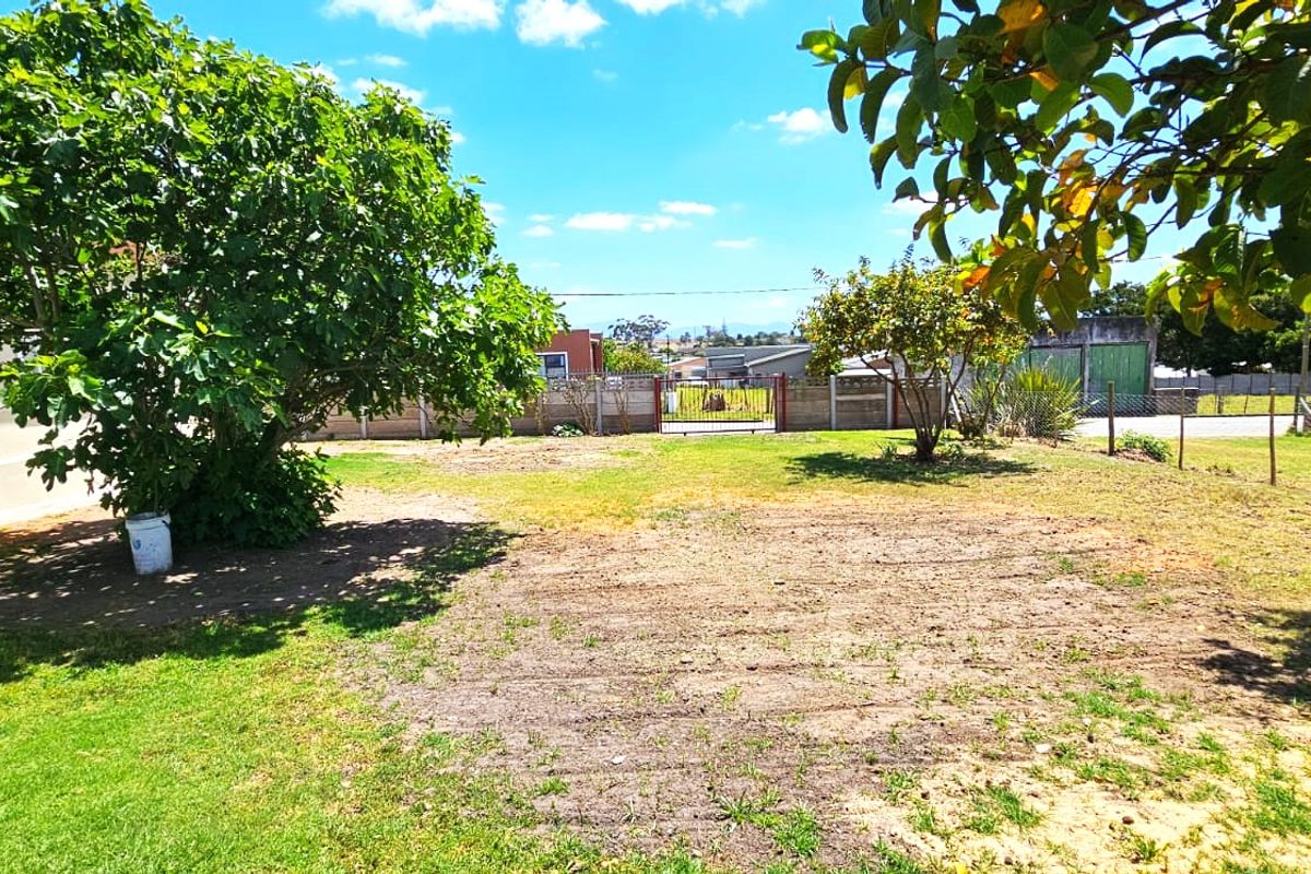 A RARE FIND IN ALBERTINIA - Photo 2