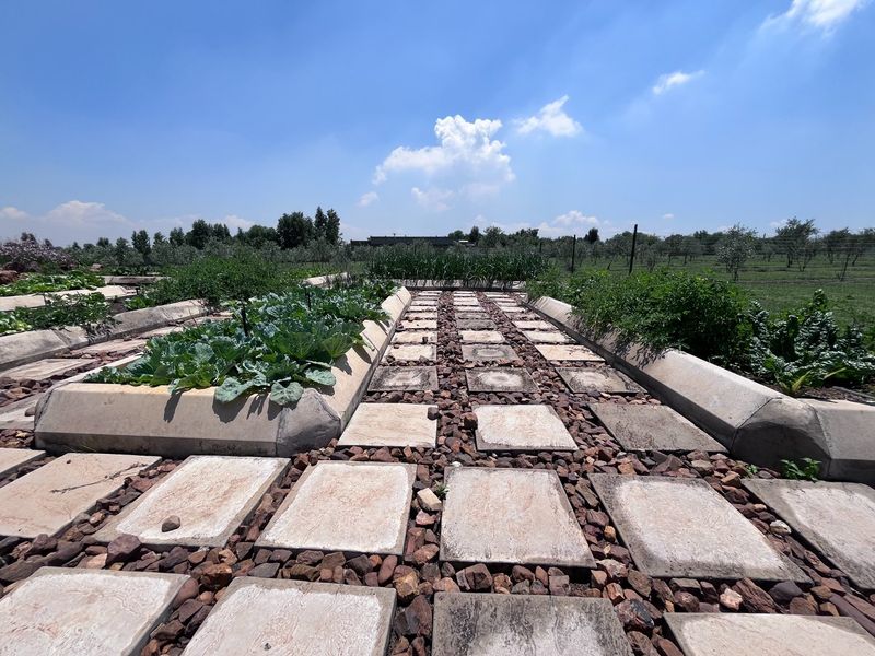 Endless Possibilities on this 2 Ha property! - Photo 9