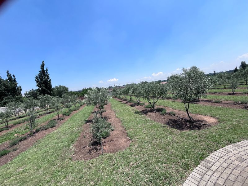 Endless Possibilities on this 2 Ha property! - Photo 7