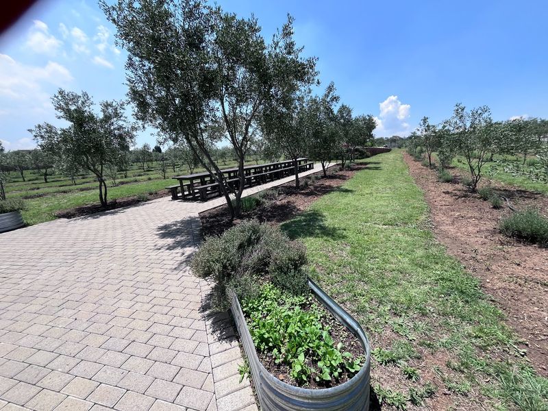 Endless Possibilities on this 2 Ha property! - Photo 6