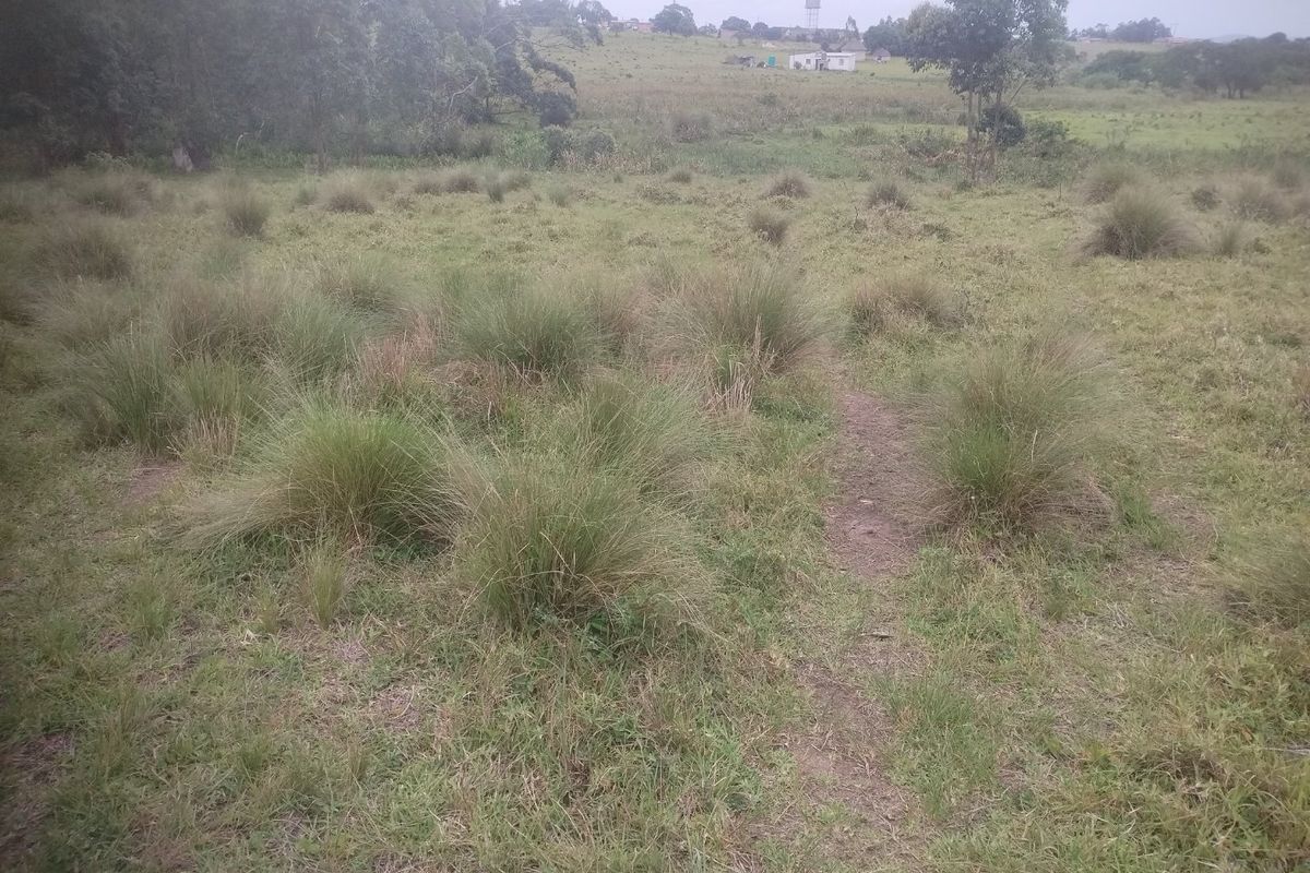 Vacant land for sale in Dlangezwa,Ongoye - Photo 3