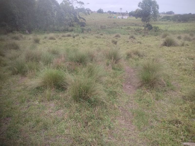 Vacant land for sale in Dlangezwa,Ongoye - Photo 3