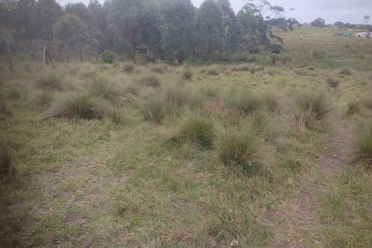 Vacant land for sale in Dlangezwa,Ongoye - Photo 2