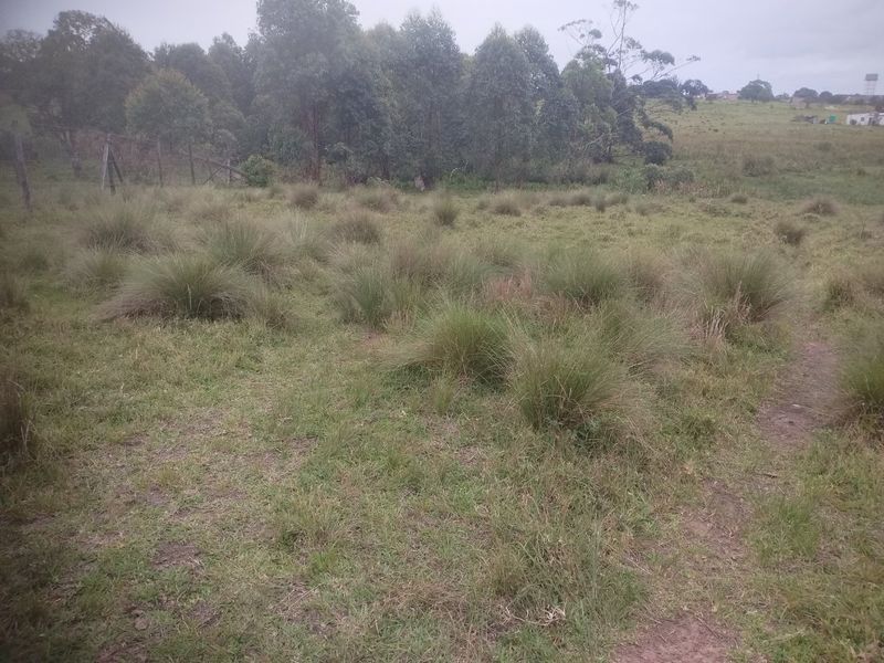 Vacant land for sale in Dlangezwa,Ongoye - Photo 2