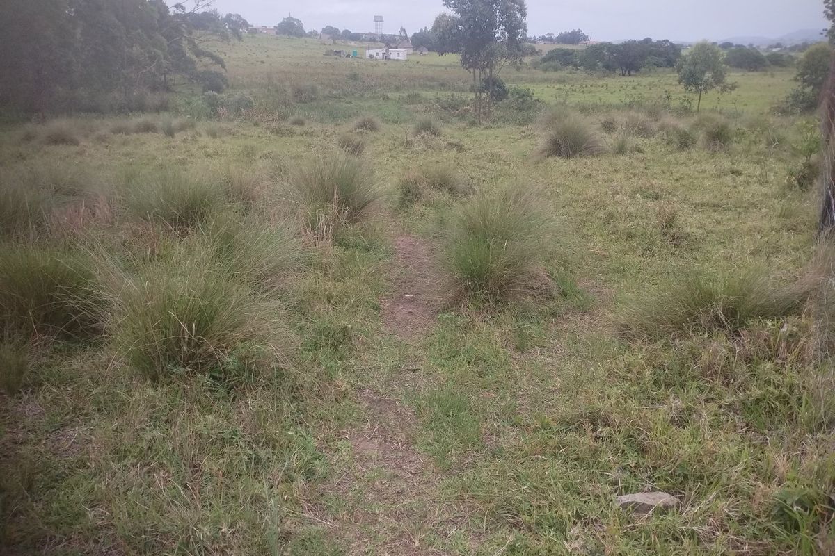Vacant land for sale in Dlangezwa,Ongoye - Photo 5