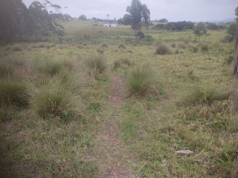 Vacant land for sale in Dlangezwa,Ongoye - Photo 5