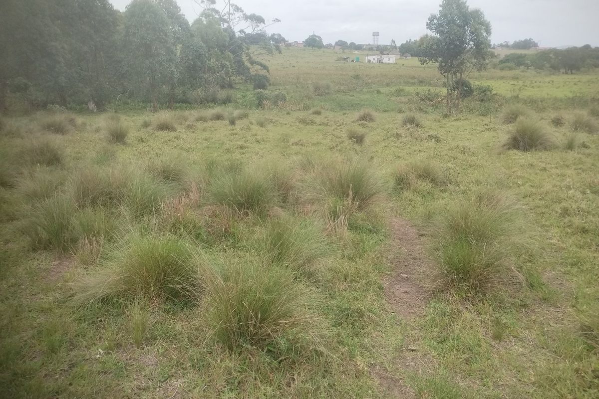 Vacant land for sale in Dlangezwa,Ongoye - Photo 4