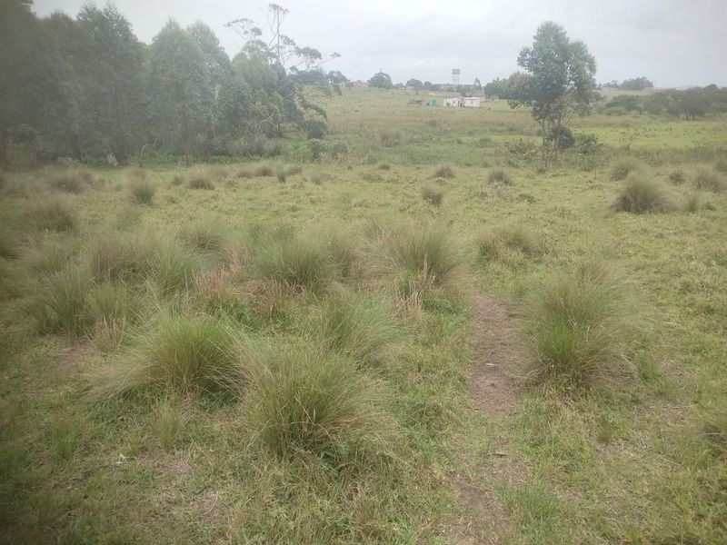 Vacant land for sale in Dlangezwa,Ongoye - Photo 4