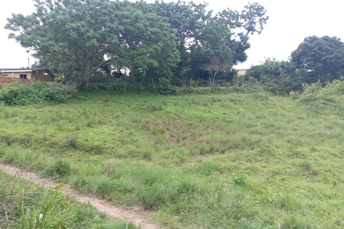 0 Bed Vacant Land in Ongoye, Empangeni Rural for Sale - Photo 3