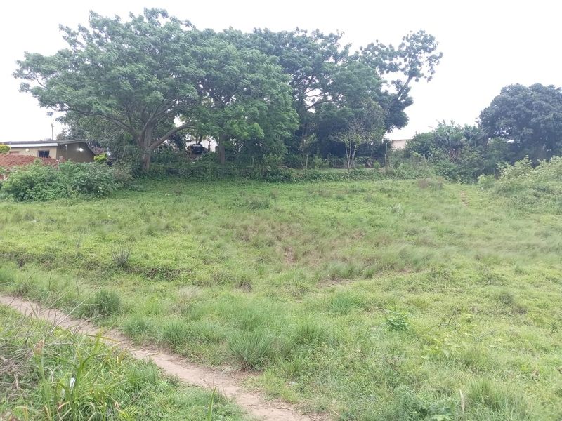 0 Bed Vacant Land in Ongoye, Empangeni Rural for Sale - Photo 4