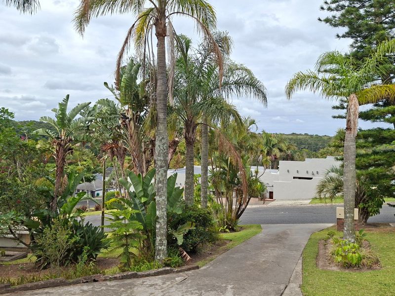 Tranquil Family Living - Photo 3