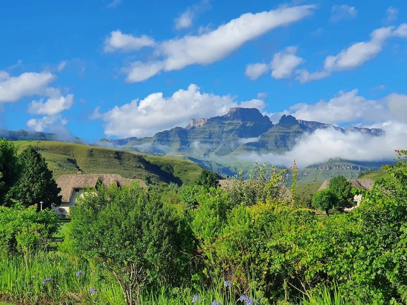Exquisite 4-Bedroom Luxury Residence in Central Drakensberg — A Prime Investment and Dream Holiday Retreat  - Photo 4