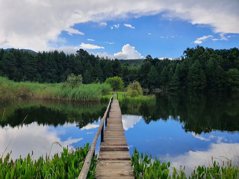 Exquisite 4-Bedroom Luxury Residence in Central Drakensberg — A Prime Investment and Dream Holiday Retreat  - Photo 7
