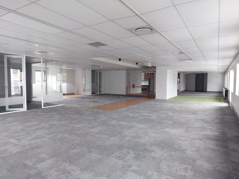 BLACK FRIDAY OFFER - MOVE-IN READY OFFICE SUITE - Photo 3