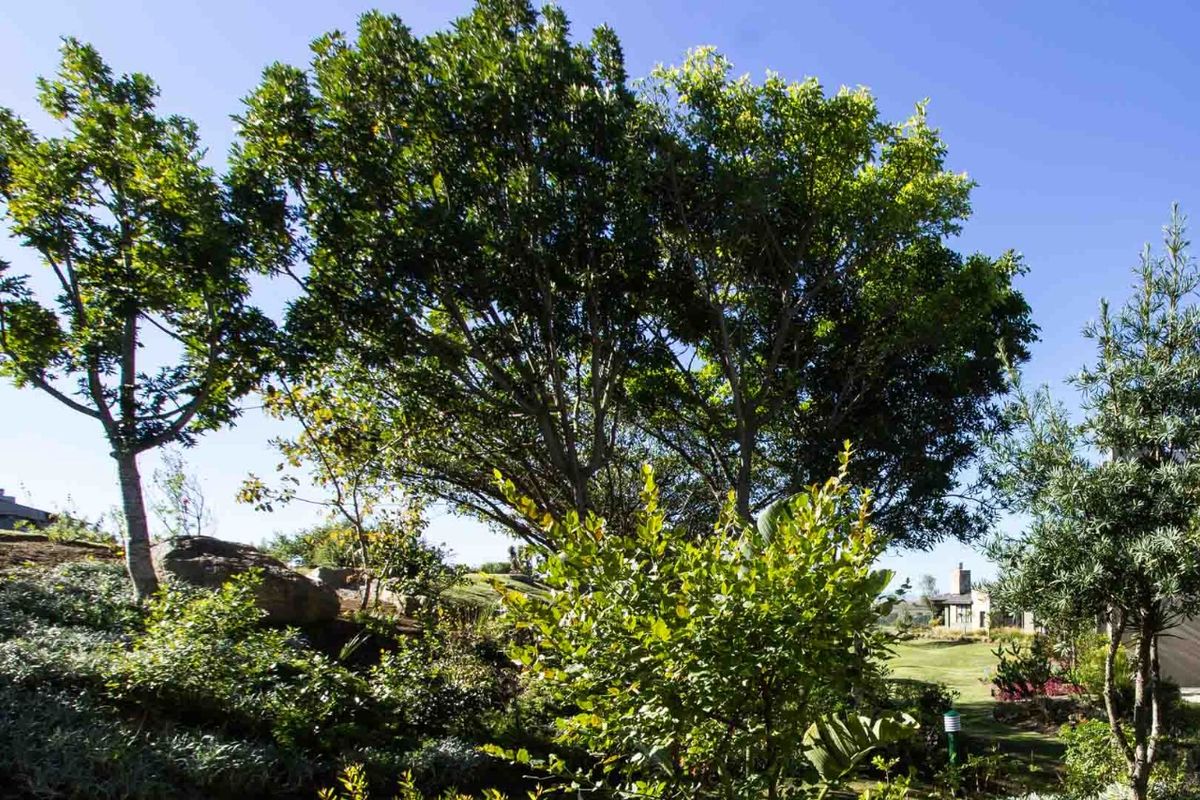 Full-Title Furnished Duplex – Near Herolds Bay Beach and George Airport - Photo 5