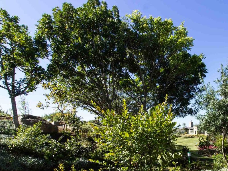 Full-Title Furnished Duplex – Near Herolds Bay Beach and George Airport - Photo 5