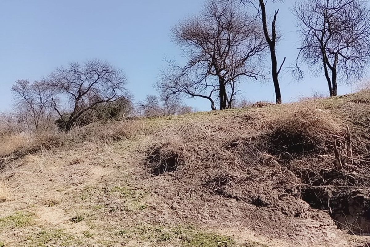 Prime Riverfront Stand in Ukutula Eco Estate – 1ha (10,000m2) – R298,000 - Photo 4