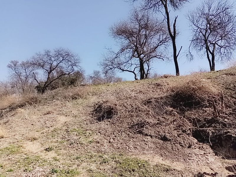 Prime Riverfront Stand in Ukutula Eco Estate – 1ha (10,000m2) – R298,000 - Photo 4