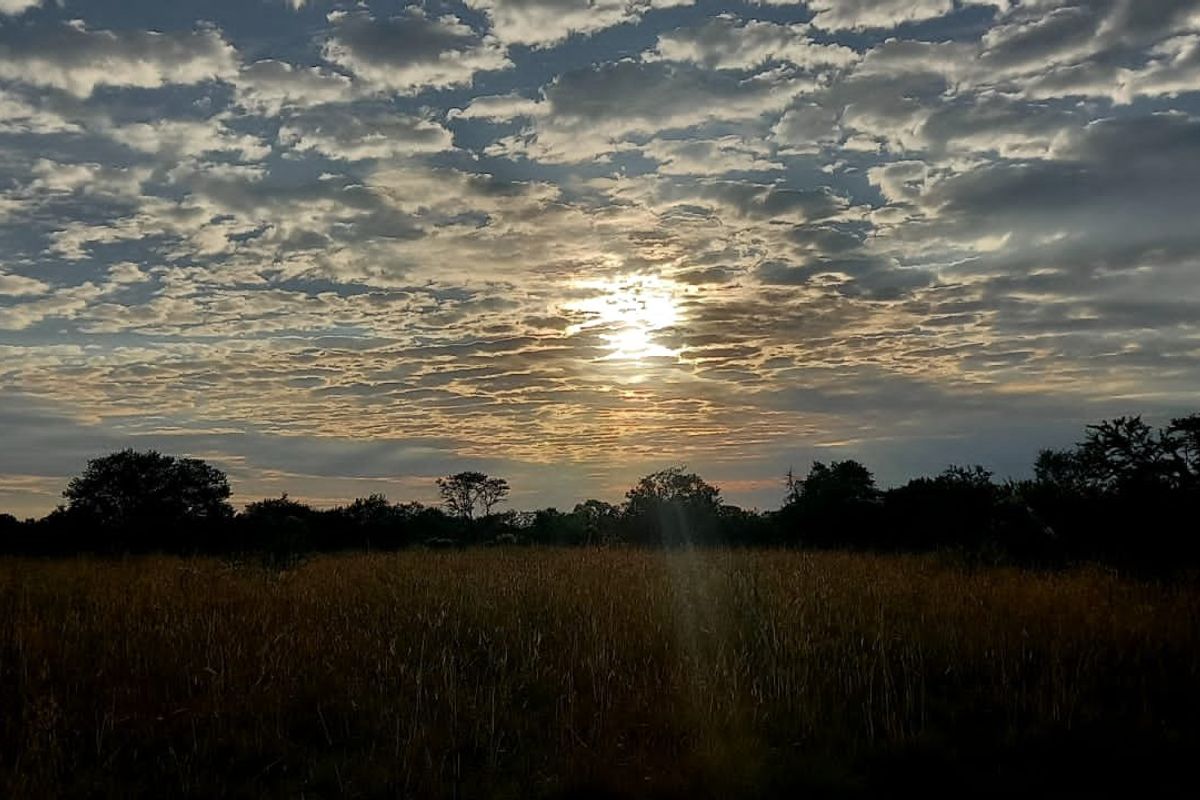 Prime Riverfront Stand in Ukutula Eco Estate – 1ha (10,000m2) – R298,000 - Photo 3