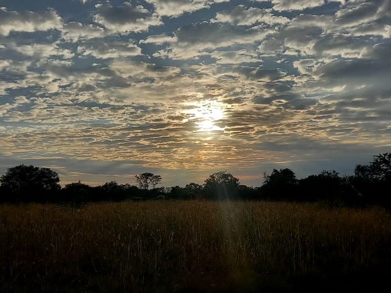 Prime Riverfront Stand in Ukutula Eco Estate – 1ha (10,000m2) – R298,000 - Photo 3