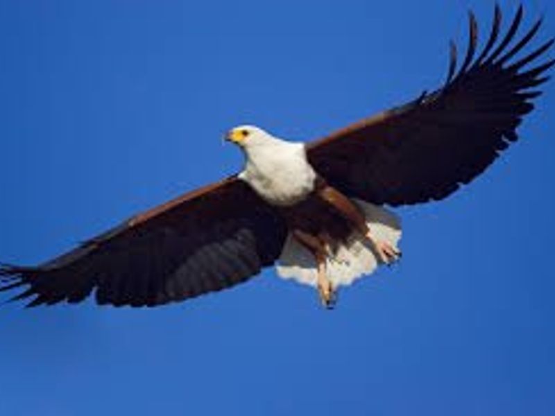 Prime Riverfront Stand in Ukutula Eco Estate – 1ha (10,000m2) – R298,000 - Photo 9