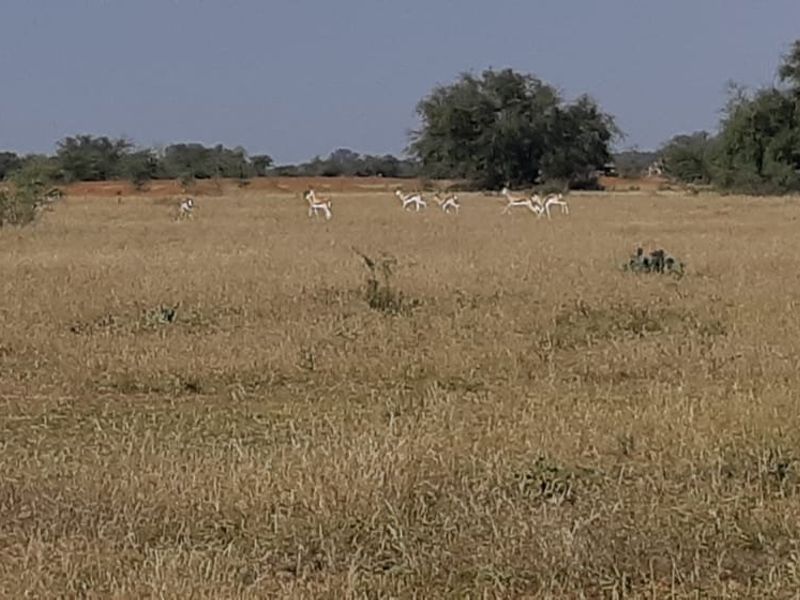 Prime Riverfront Stand in Ukutula Eco Estate – 1ha (10,000m2) – R298,000 - Photo 7