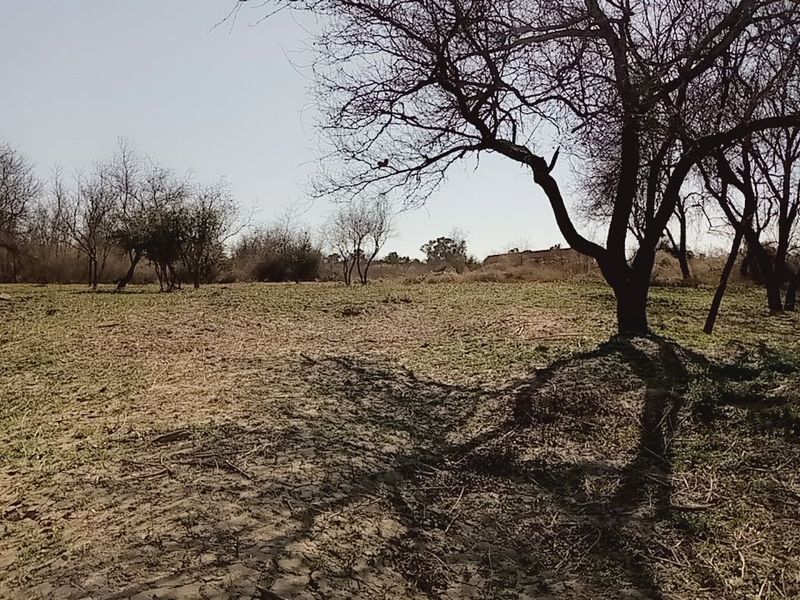 Exclusive Vaal Riverfront Stand – Eco Estate – 1ha (10,000m2)  - Photo 6