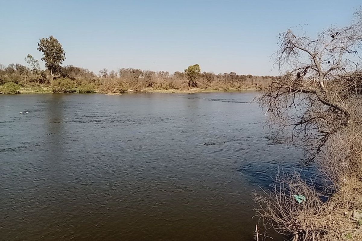 Exclusive Vaal Riverfront Stand – Eco Estate – 1ha (10,000m2)  - Photo 5