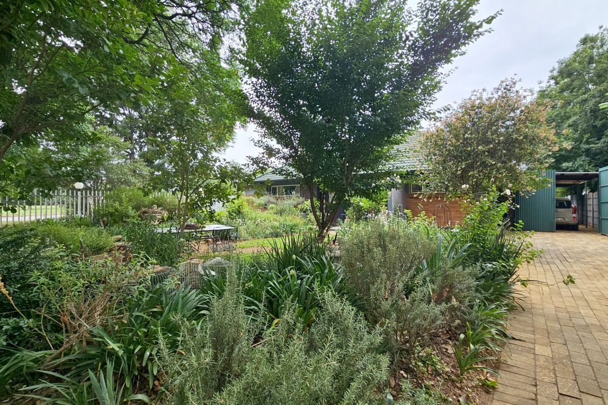 A unique home with a cottage in Three Rivers. - Photo 4