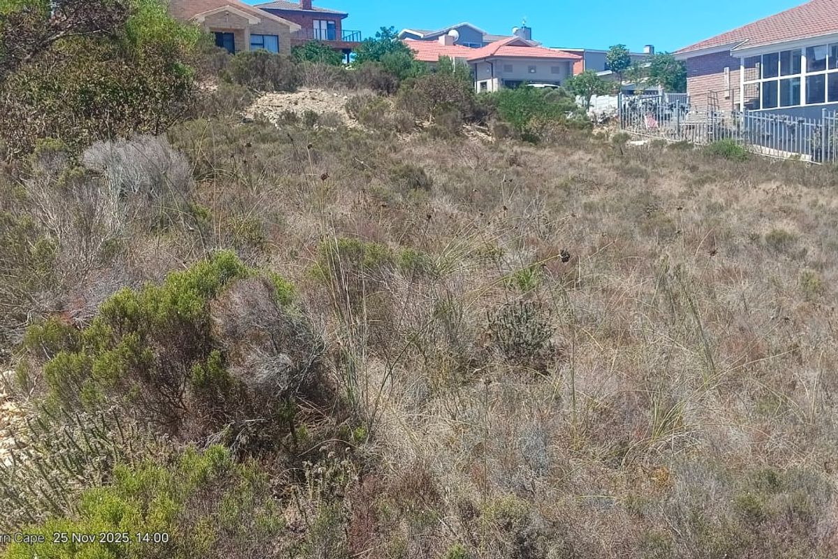 A view of a vacant residential plot featuring natural coastal vegetation and sloping terrain, situated within an established residential neighborhood.