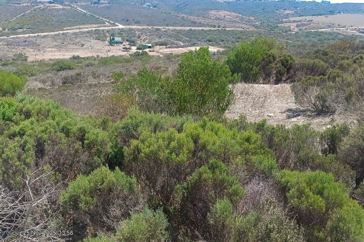 An elevated view of a vacant residential plot featuring natural coastal vegetation and surrounding landscape.