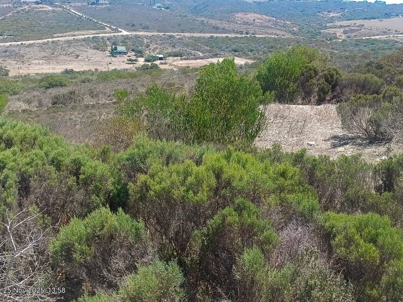 By Appointment: Suitable to build a Duet on this stand (Two Houses). Prime Stand in Seemeeu Park, Mossel Bay - Photo 3
