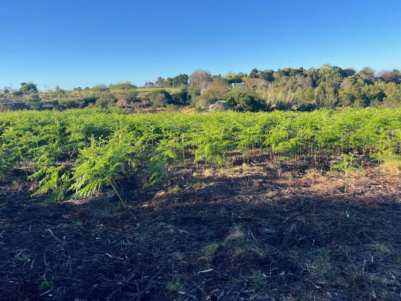Crags Redford Road North Facing Vacant Property with Mountain Views - Photo 6
