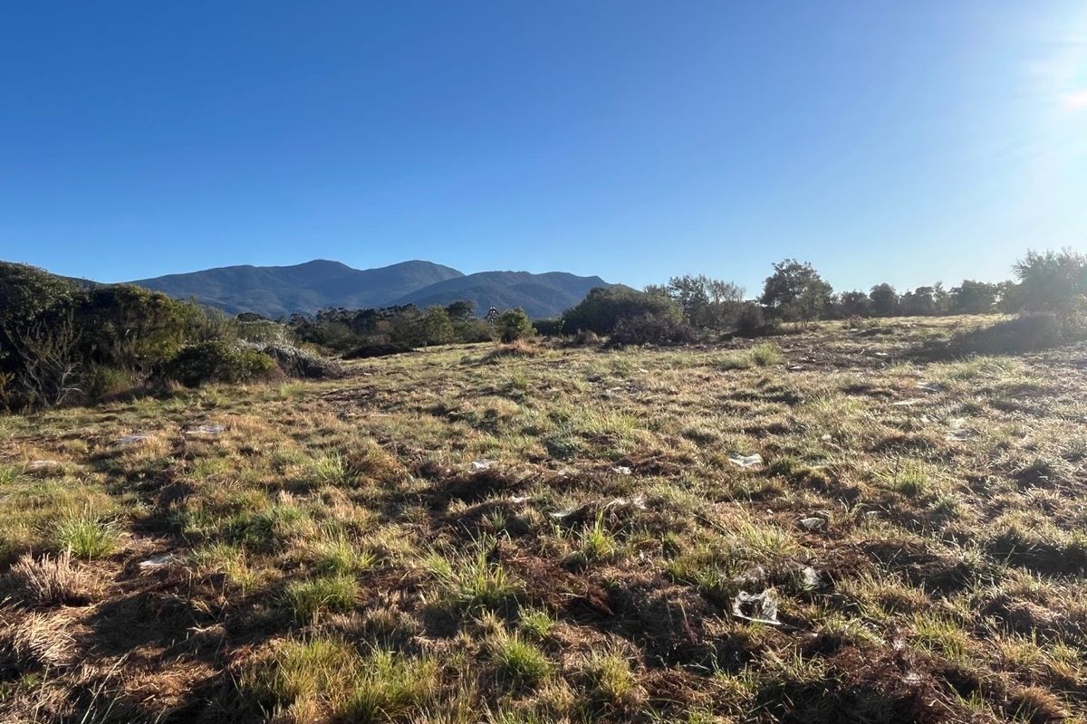 Crags Redford Road North Facing Vacant Property with Mountain Views - Photo 3