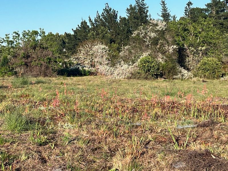 Crags Redford Road North Facing Vacant Property with Mountain Views - Photo 9