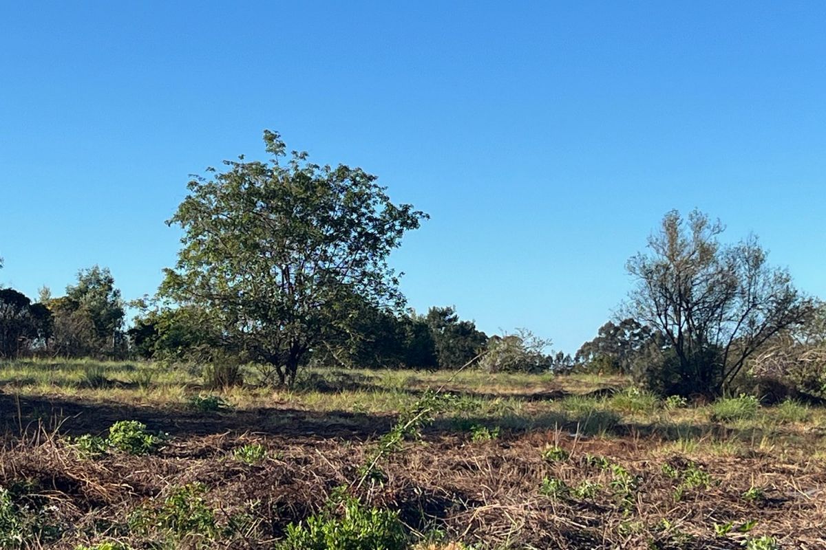 Crags Redford Road North Facing Vacant Property with Mountain Views - Photo 5