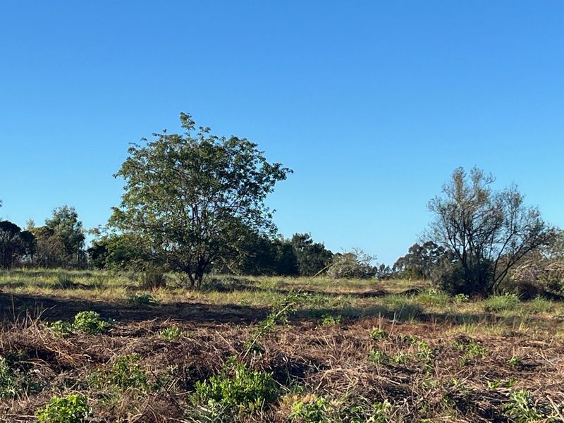 Crags Redford Road North Facing Vacant Property with Mountain Views - Photo 5