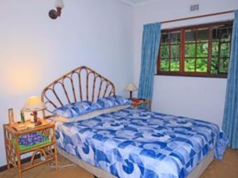 What An Incredible Find! - Photo 7