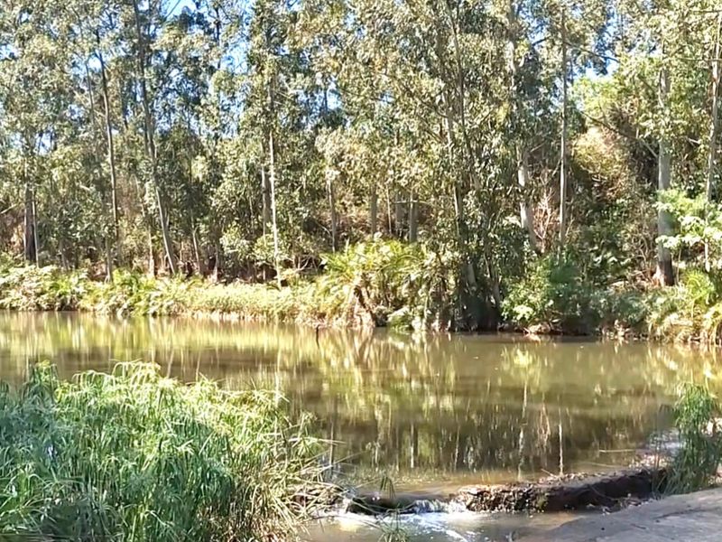 13 Bedrooms Lodge for sale in Summerpride - Photo 10