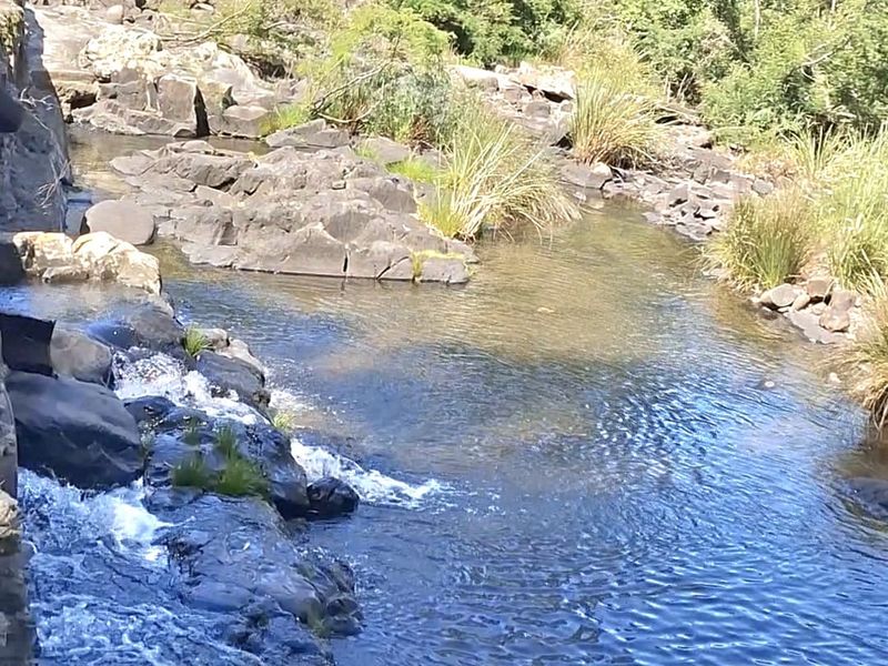 13 Bedrooms Lodge for sale in Summerpride - Photo 6