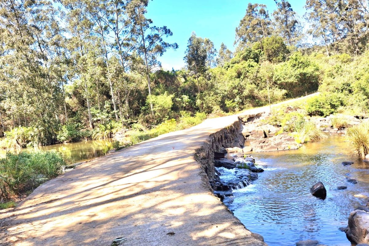 13 Bedrooms Lodge for sale in Summerpride - Photo 5