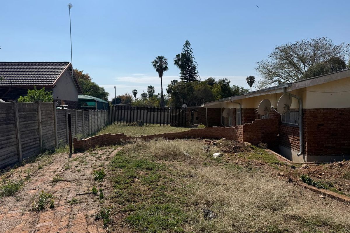 SOLE MANDATE – A GOLDEN OLDIE IN FAUNA PARK - Photo 2