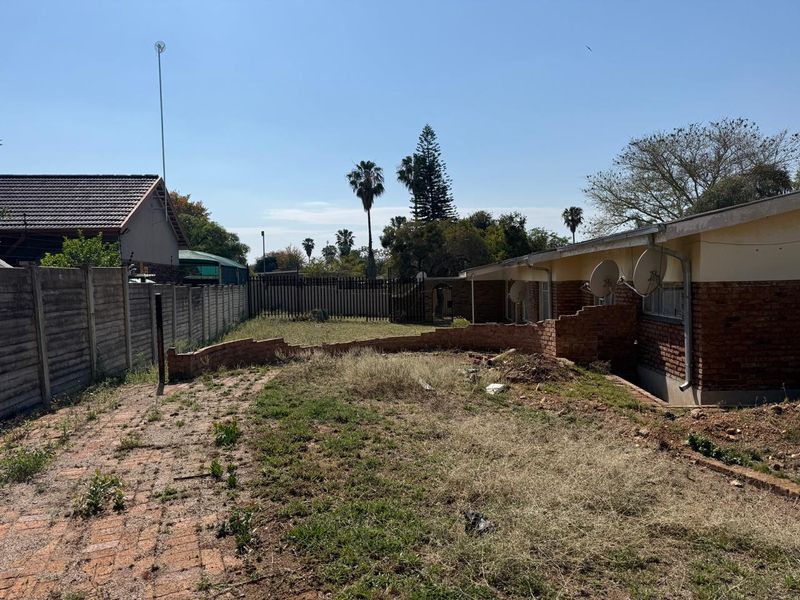 SOLE MANDATE – A GOLDEN OLDIE IN FAUNA PARK - Photo 2