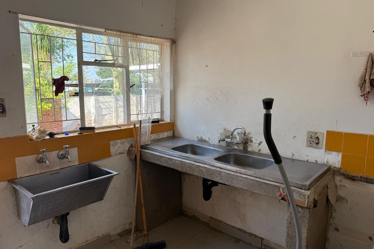 SOLE MANDATE – A GOLDEN OLDIE IN FAUNA PARK - Photo 5