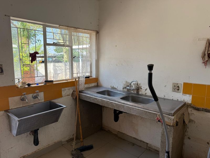 SOLE MANDATE – A GOLDEN OLDIE IN FAUNA PARK - Photo 5